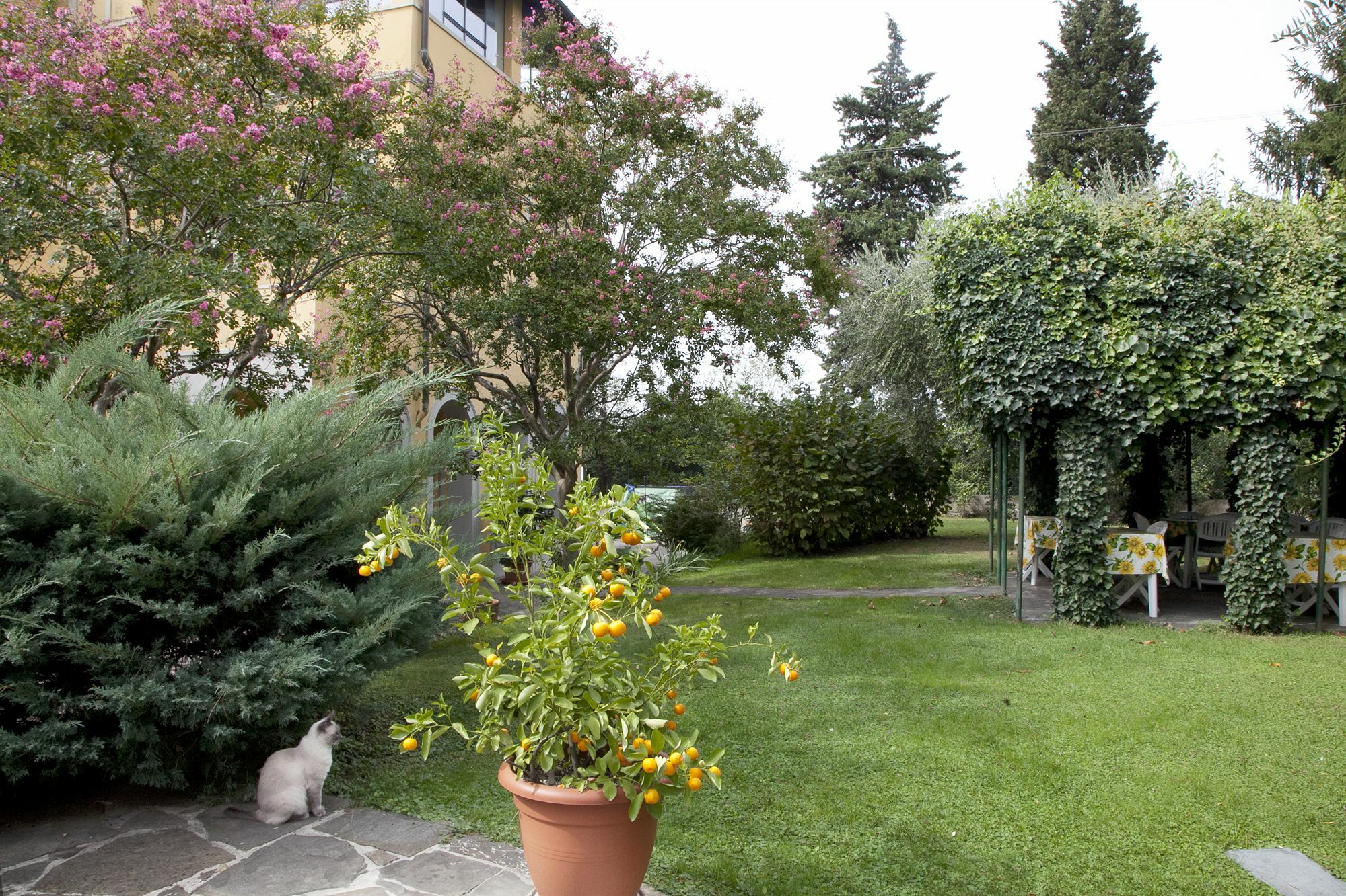 B&B Villa La Sosta Флоренция Экстерьер фото